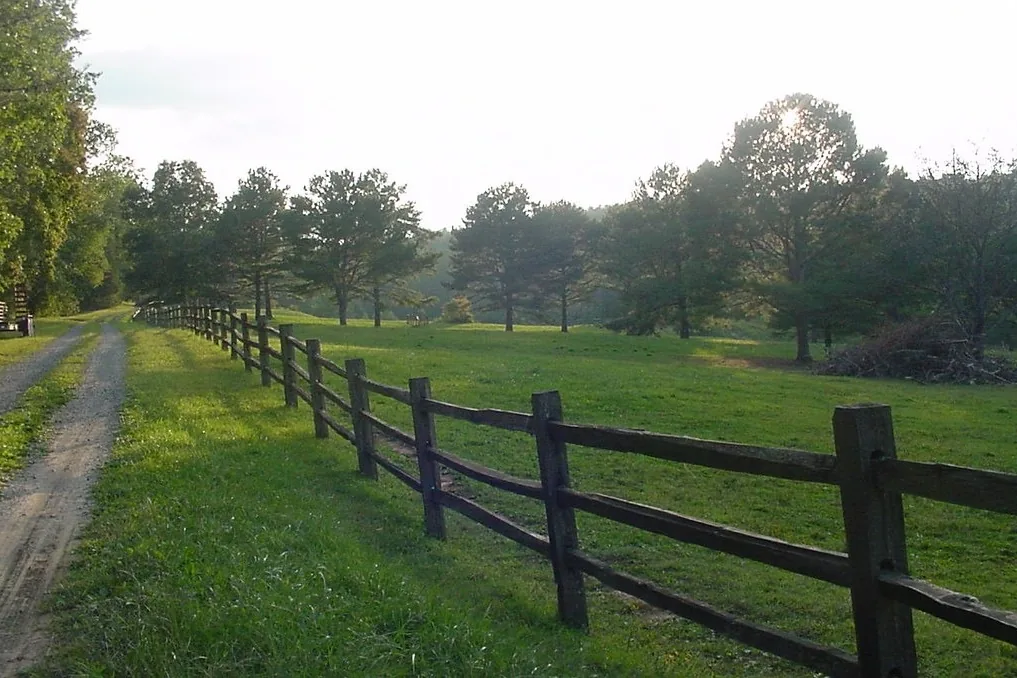Gravel lane and split-rail fence running through open pasture and pines